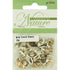 Mini Conch Shell Beads
